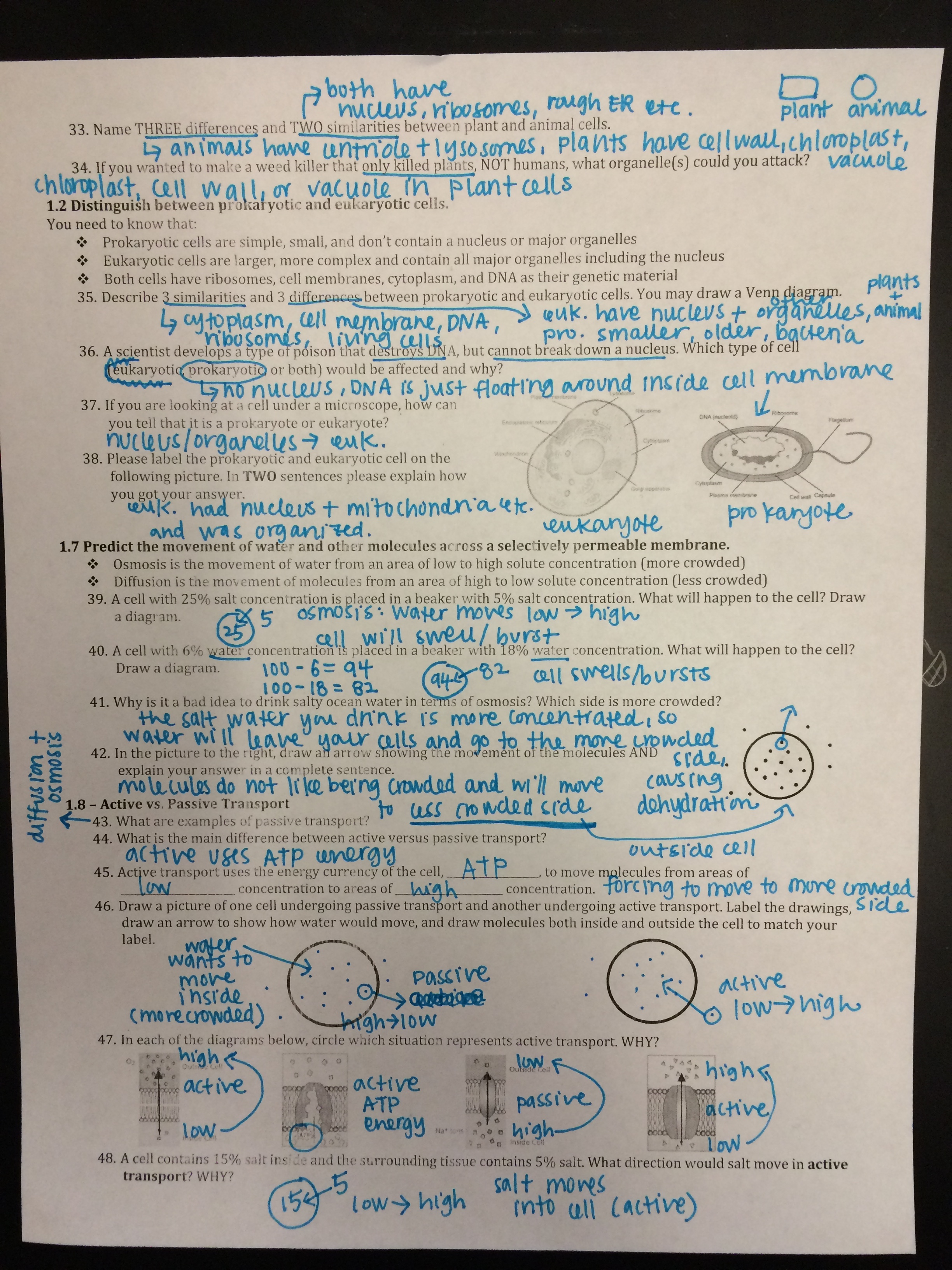 Answer Key Biology Eoc Review Packet Answers - Eoc Prep Mr Im Honors